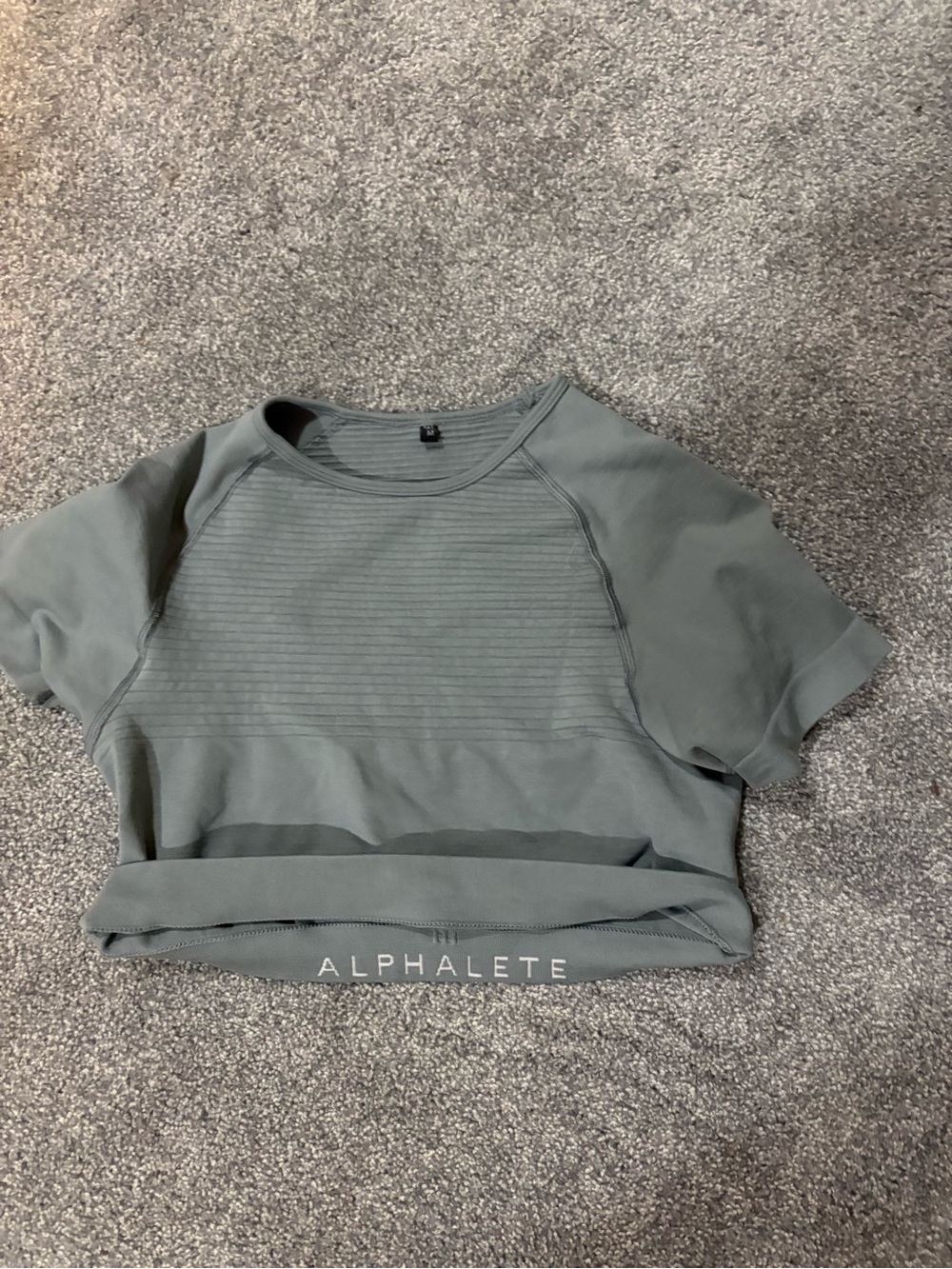 Alphalete Gray Short Sleeve Athletic Crop Top- M